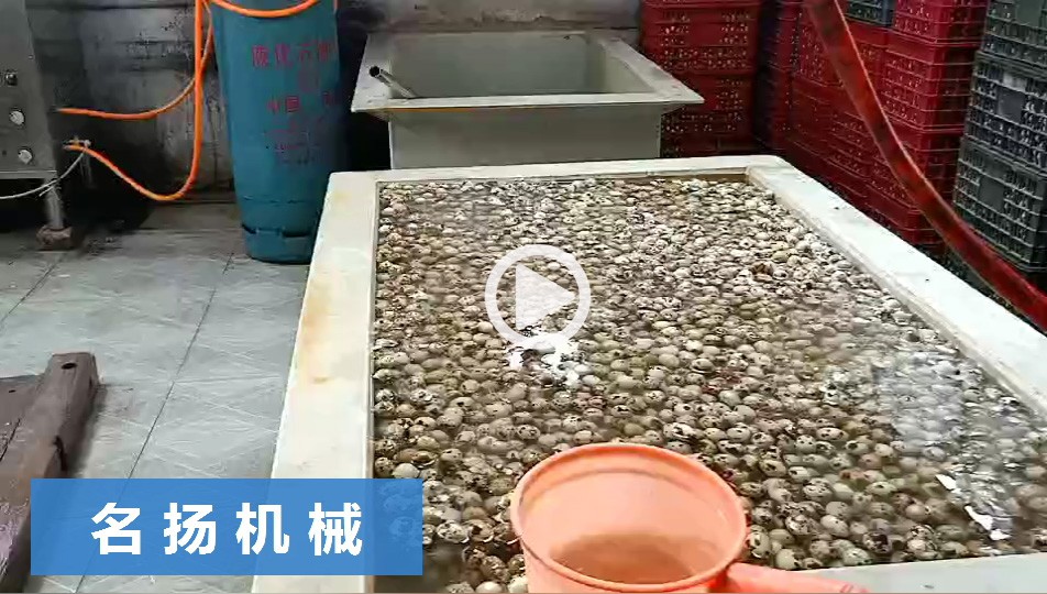 鵪鶉蛋蒸煮線1