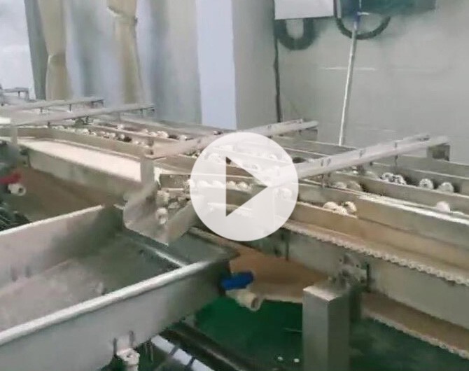 鵪鶉蛋生產(chǎn)線