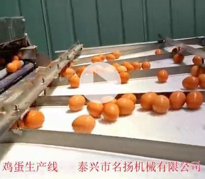 鹵蛋生產(chǎn)線